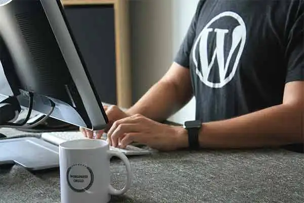 Alegerea platformei pentru site